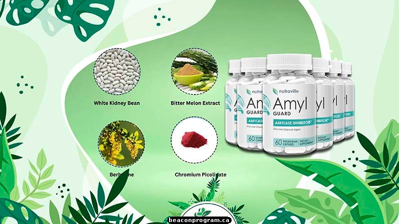 Ingredients in Amyl Guard's