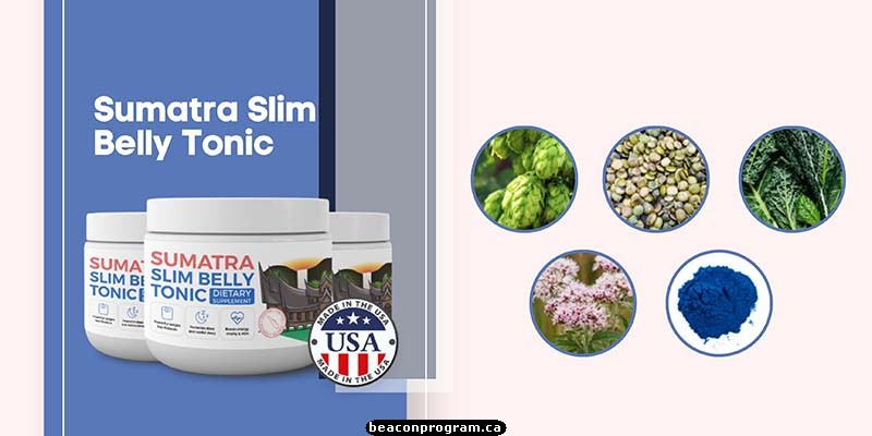 Ingredients in Sumatra Slim Belly Tonic